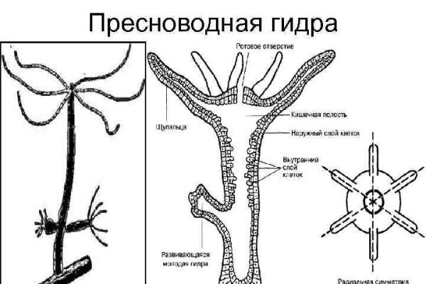 Кракен продажа наркотиков