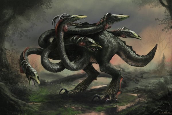 Kraken 12 att